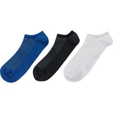 Lumberjack MB Avva 3'lü Ptk Çorap Gri