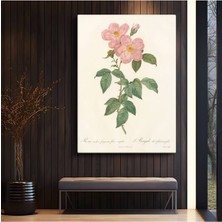 GülsenArt Pierre-Joseph Redouté Pembe Yaban Gülü Botanik Kanvas Tablo Duvar Tablosu Dekoratif Ressam Tablosu