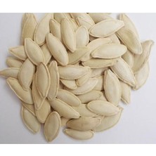 Tohumcumm Çekirdeklik Nevşehir Kabak Çekirdeği Tohumu 10 Adet Tohum