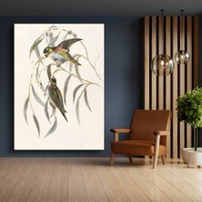 John Gould Okaliptüs Dalı Kuşları Doğa Kanvas Tablo Duvar Tablosu Dekoratif Ressam Tablosu