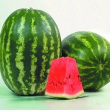 Tohumcumm Karpuz Tohumu 15 Adet Tohum