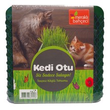 Kut Fly Eden Zirai Kedi Otu Yetiştirme Seti 2 Adet