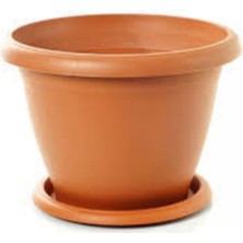 Tohumcumm 5 Adet Saksı 16.5cm Yükseklik Çiçek Saksısı Plastik Kliteli Malzeme Saksı Çiçek Saksısı