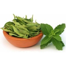 Tohumcumm Şeker Otu Tohumu Stevia Tohumu 20 Adet Tohum + Saksı + Toprak