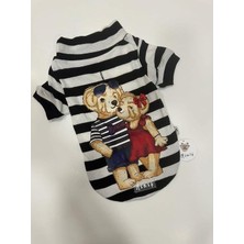 Miniş Bony Teddy Esnek, Küçük Köpek Triko Sweatshirt