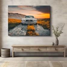 Ford Mustang Klasik Beyaz Kanvas Tablo Amerikan Muscle Car Pony Tablo
