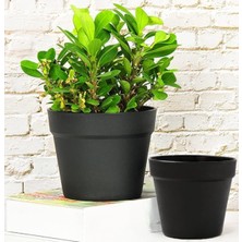 Turanyolu Yalı Saksı 2'li Set – 23X22 cm (6 Litre) & 19X17 cm (3 Litre) Dayanıklı Plastik Saksı