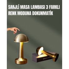 Teknodayım %100 Kademeli Ayarlanabilir Işık – USB Şarjlı Masa Lambası