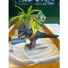bebexy Trex Dinazor