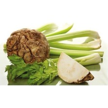 Tohumcumm Kereviz Tohumu (Celery) 50+ Tohum