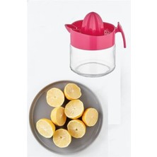 Turanyolu 300 ml Cam Meyve Sıkacağı – Dayanıklı ve Pratik