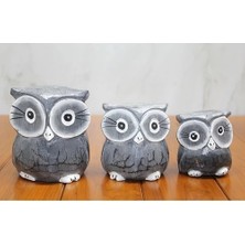 Alvo Store Ahşap 3'lü Baykuş Seti Model 2