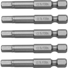 TUĞRA HIRDAVAT Ceta Form CB/1940 Çelik Bits Alyan Uç Seti 4mm x 50MM  24'lü Paket