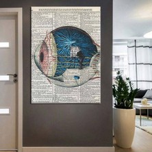 Göz Hastanesi, Göz Sağlığı Merkezi Tabloları 5 Hd Dijital Baskı Dikey Kanvas Tablo 456