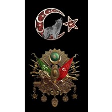 Aydın Garage Araba Kapı Direk Kaplama Folyosu Oslamanlı Tuğrası ve Kurt