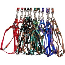 Royalist Desenli Kedi & Küçük Köpek Göğüs Tasması Seti – Ayarlanabilir Gezdirme Kayışı ile