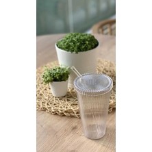 Turanyolu 2 Adet 600 ml Mika Kapaklı Pipetli Origami Stil Mika Bardak | Sunum Bardağı Meşrubat Bardağı