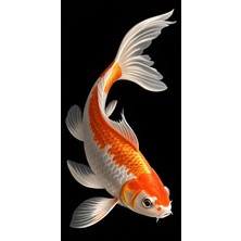 Aydın Garage Balık Kapı Direk Kaplama Folyosu Baskılı Sticker Sağ-Sol 2 Adet 22*50 cm