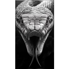 Aydın Garage Yılan Kapı Direk Kaplama Folyosu Baskılı Sticker Sağ-Sol 2 Adet 22*50 cm