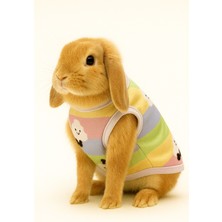 Tavşan Kıyafeti – Karışık Renk Gönderim