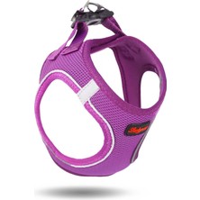 Luckypaw Air Mesh Kedi ve Köpek Göğüs Tasması  Mor Xs