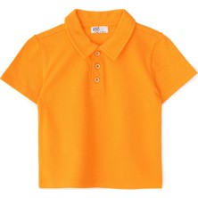 Hellobaby Erkek Bebek Tshirt Düğmeli Bisiklet Yaka Kısa Kol