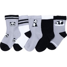 Hellobaby Erkek Bebek 5'li Soket Çorap