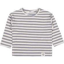 Civil Boys Kendinden Çizgili 2-5 Yaş Sweatshirt