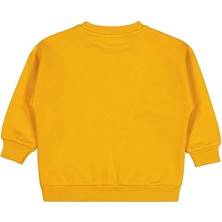 Civil Boys Panda Nakışlı2-5 Yaş Sweatshirt