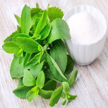 e-fidancim Doğal Tıbbı Aromatik Şeker Otu Stevia Fidesi (1 Adet)