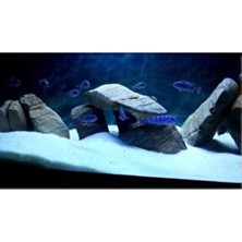 Albino Akvaryum Kumu Beyaz Silis 10 kg Kalsit 1-1,2 mm