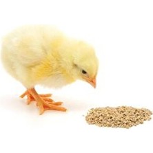 Özlem Yem Civciv Yemi (2kg)