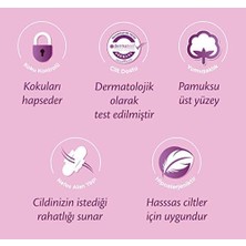 Store Fullf Molped Anatomik Gece 30 Mega