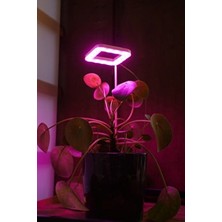 Bitki LED Lamba 5V USB Pembe Renk Tam Spektrumlu Kare Bitki Yetiştirme Işığı 8W Özellikli