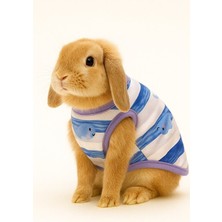 Tavşan Kıyafeti – Karışık Renk Gönderim