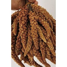  daldarı 1 kg yeni mahsül doğal dal darı