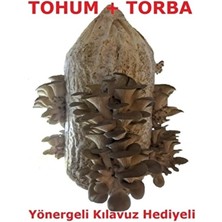  ortalama 1000 adet ıstiridye kavak kayın mantarı tohumu, mantar ekim poşeti ve yönerge