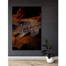 Teona Ahşap Yağlı Boya Görünümlü Ahşap Tablo Sonbahar Yaprağı ve Su Damlaları Sanat Eseri Dikdörtgen Tablo