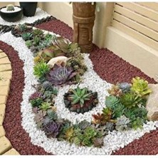 Doğalsan Tarım Beyaz Taş 3 kg 1-2 cm Beyaz Dolomit Taş Dere Taşı Çakıl Taşı Bahçe Süs Taşı Akvaryum Teraryum Taşı
