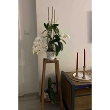 Moola 2 Katlı Ahşap Çiçeklik ,  Ahşap Saksılık ,  Çiçek Standı , Çok Amaçlı Katlı Raf