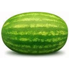 Tohumcumm 200 Adet Süper Paket Meşhur Diyarbakır Karpuzu Tohumu