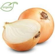 Tohumcumm 25 Adet Tohum Kışlık Kuru Soğan Tohumu Yerli Tohum Orjinal Soğan Tohumu Sürpriz Hediye