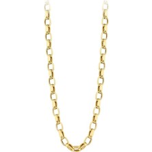 Assos Pırlanta Altın Zincir Kolye  - 14K