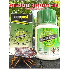 Deepest Kahverengi Kokarcao Böceği,gümüş,pire,kalorifer,bit,hamam ve Tüm Böcekler Için Anında Çözüm Ilacı