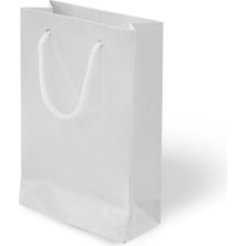 Alpjoy 14X17X6 Karton Çanta Beyaz 24 Adet