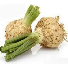 Tohumcumm 20 Adet Tohum Yerli Organik Kereviz Tohumu