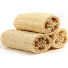 Tohumcumm 15 Adet Lif Kabak Tohumu Kabak Tohumu Lif Kabağı Tohumu