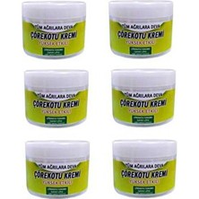 Kişisel Ecza Çörekotu Kremi Vücut Ağrılar Için 100 ml x 6 Adet