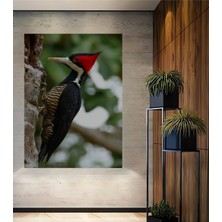 Teona Ahşap Ahşap Tablo Olarak Ormanların Efendisi Ağaçkakan Kuşu Yağlı Boya Görünümlü Sanat Eseri