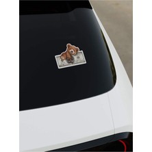 Dolar Ayı Dijital Baskı Sticker